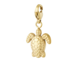 Change bedel schildpad